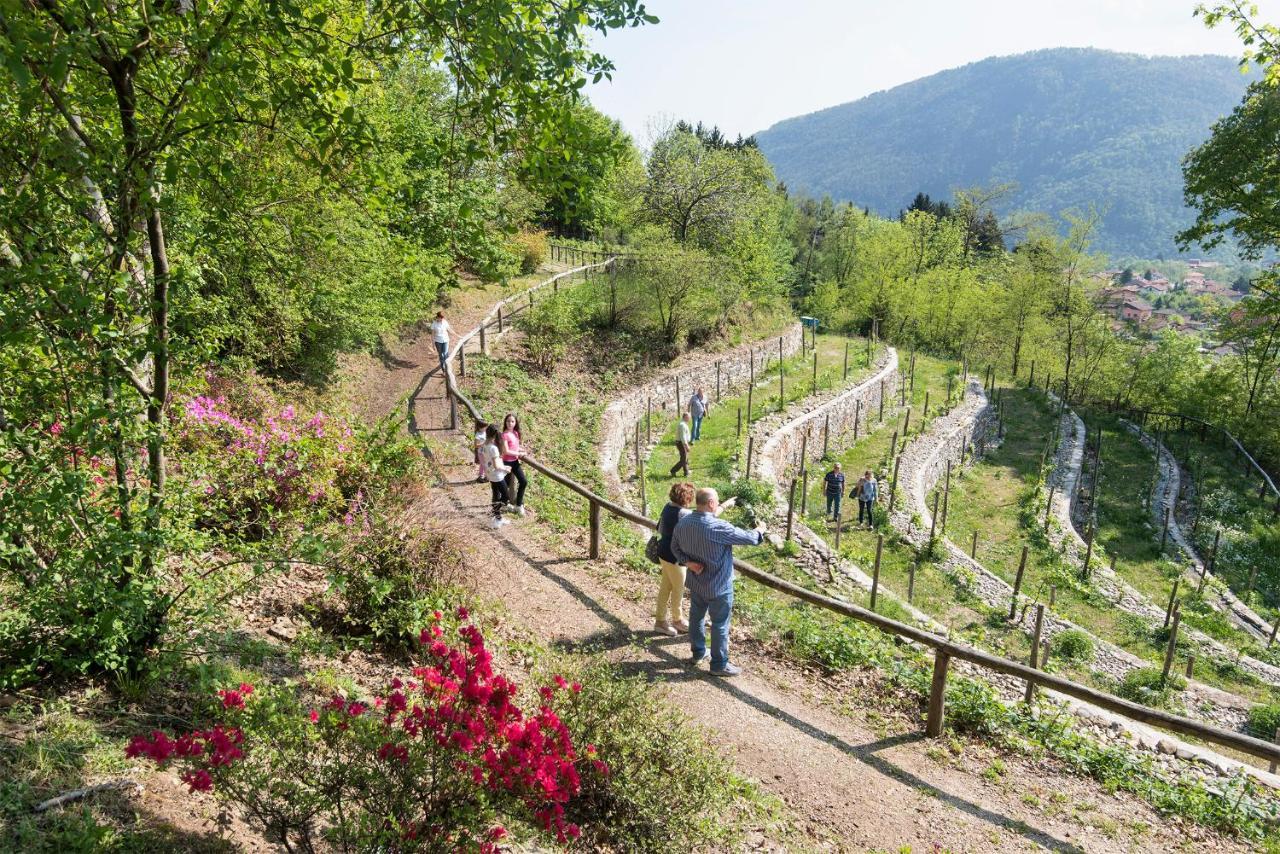 Agriturismo Al Motto Cambiasca ภายนอก รูปภาพ